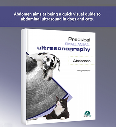 Practical small animal ultrasonography - abdomen