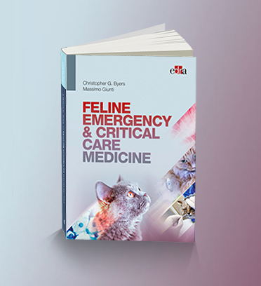 Feline emergency & critical care