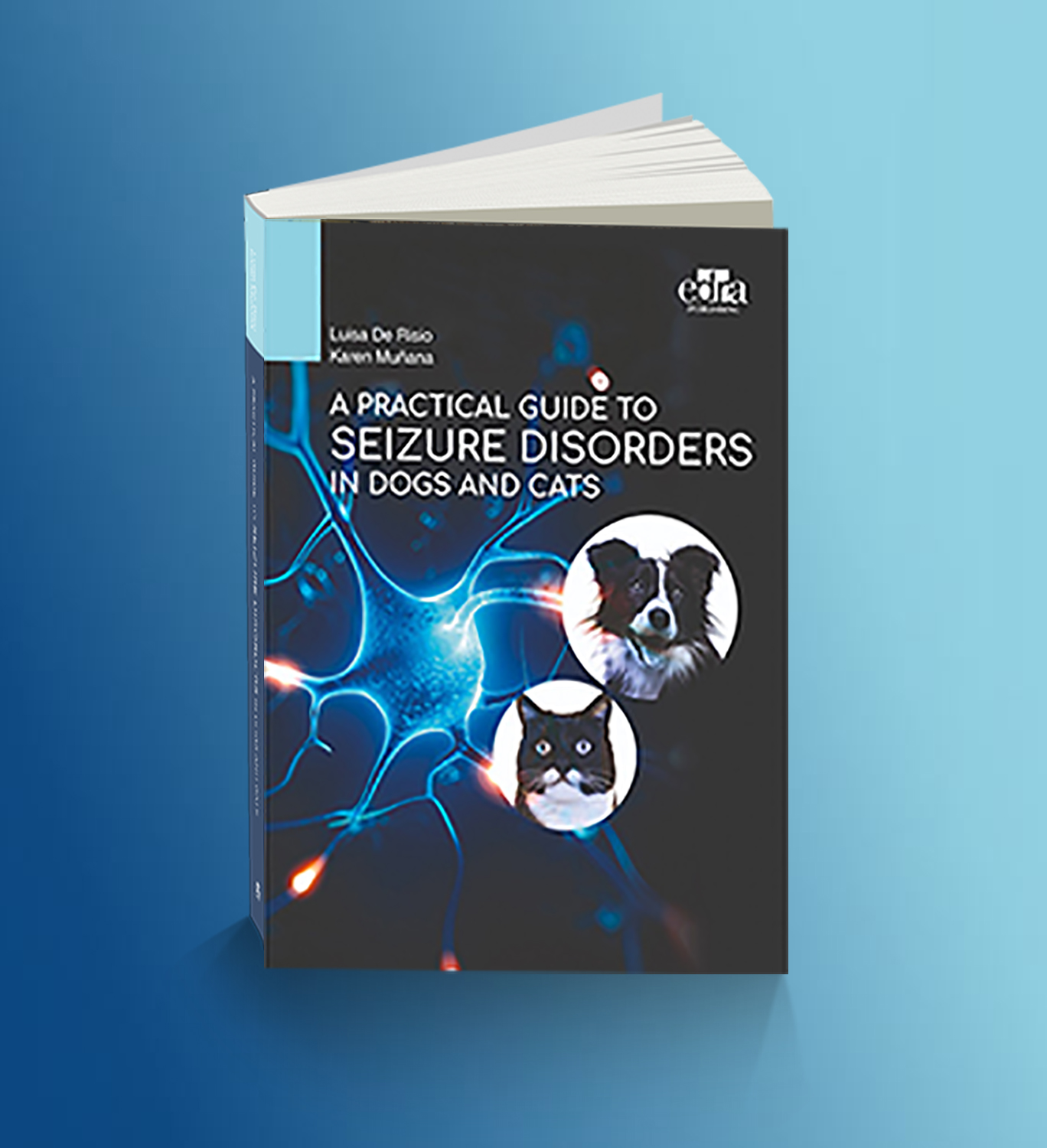 A practical guide to seizure disorders in dogs and cats